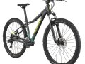 Cannondale Trail women's 8