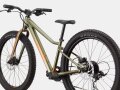 Cannondale Kids Trail Plus 24