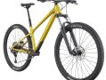 Cannondale Habit HT 2 2025.