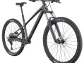 Cannondale Habit HT 2 2025.