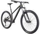 Cannondale Habit HT 2 2025.