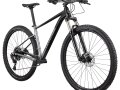 Cannondale Trail 29 SL 4
