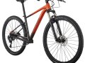 Cannondale Trail 29 SL 4