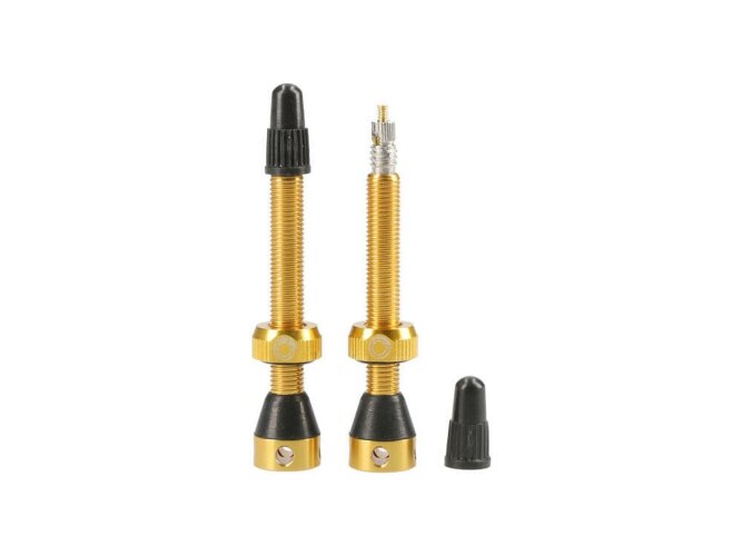 Tubolight tubeless ventili VVGLD
